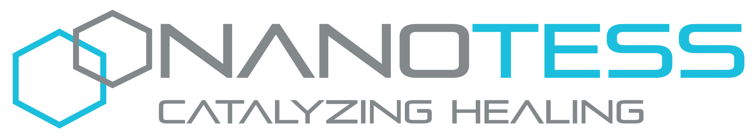 NanoTess logo
